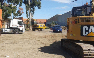 Why You Need Experts for Safe Tree Removal at Your Home