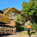 Why You Need Experts for Safe Tree Removal at Your Home