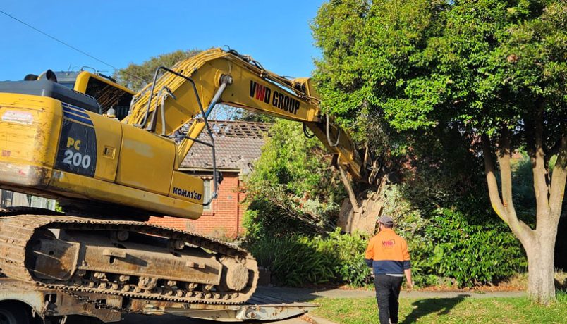 Why You Need Experts for Safe Tree Removal at Your Home