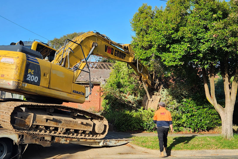 Why You Need Experts for Safe Tree Removal at Your Home