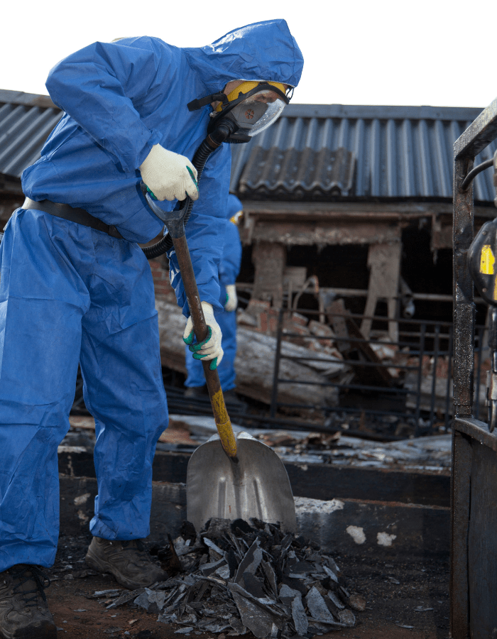 Asbestos Removal Contractor
