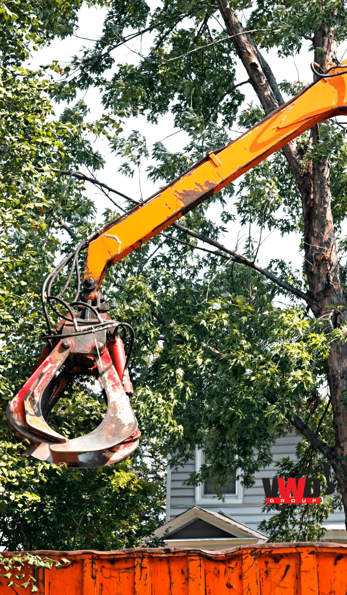 Tree cutting and removal in Melbourne suburban property